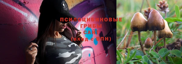 первитин Арсеньев