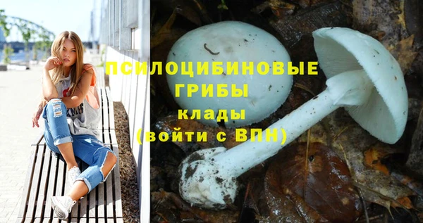 первитин Арсеньев