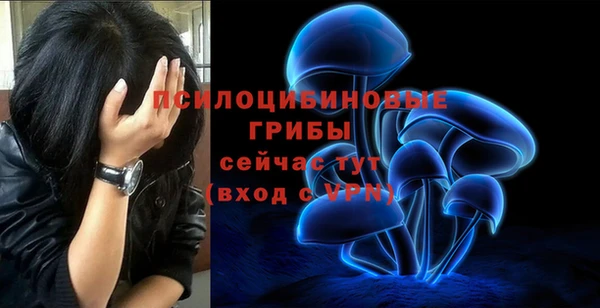 первитин Арсеньев